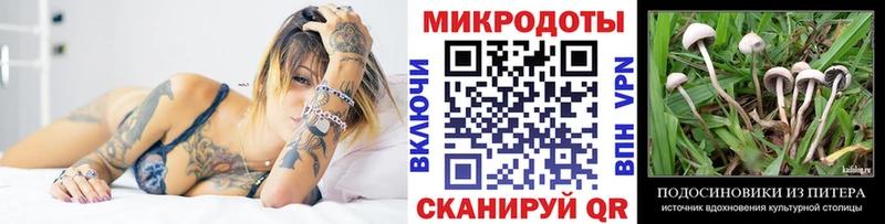 как найти закладки  ссылка на мегу ONION  Галлюциногенные грибы Cubensis  Новосокольники 